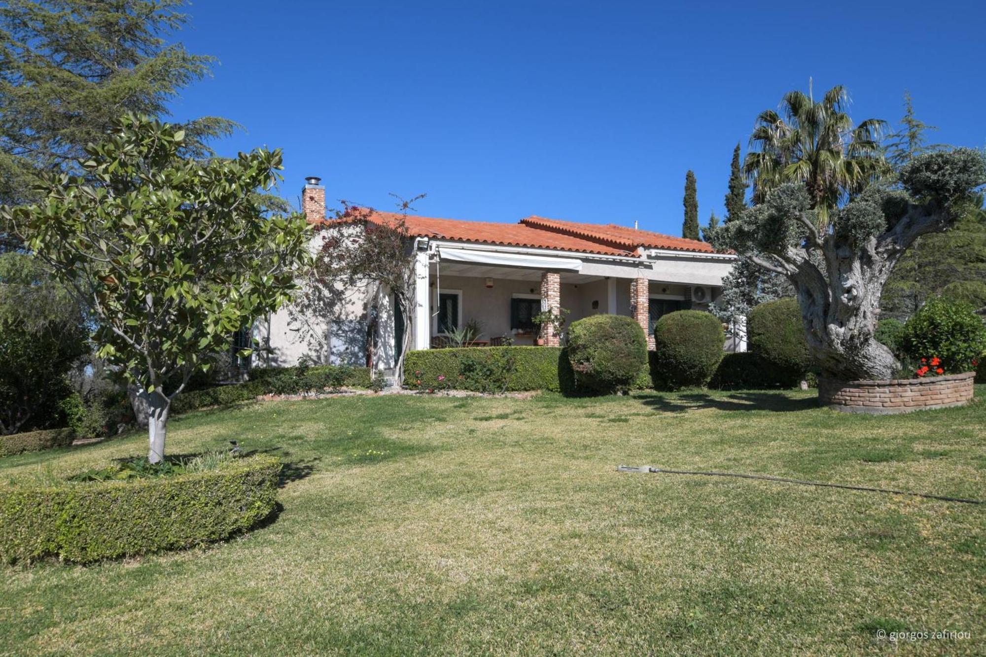 Nerotrivia Villa - Ocean Panorama And Lush Gardens Nerotriviá Exterior foto